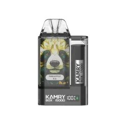 Kamry Box 15000 Puffs Einweg Vape Mengenangebot