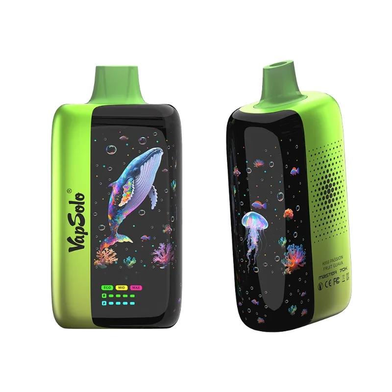 Vapsolo Master 70K 70000 Puffs Einweg Vape Mengenangebot